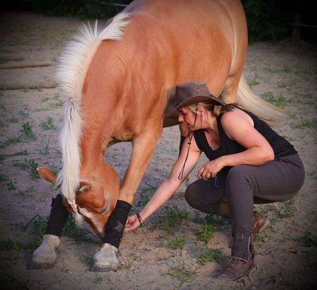 Vrijheidsdressuur, buiging