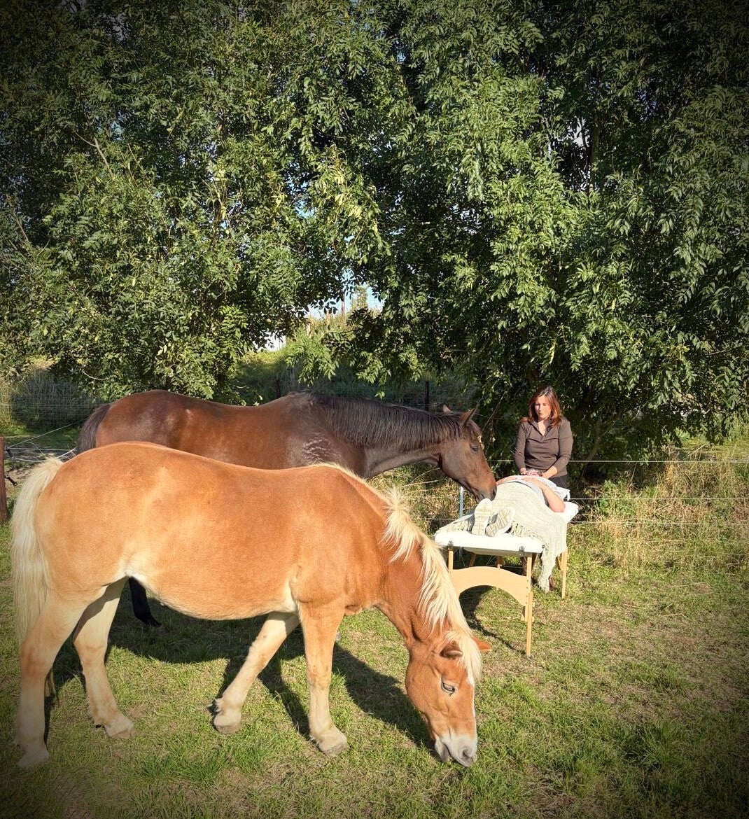 Reiki voor mensen en paarden