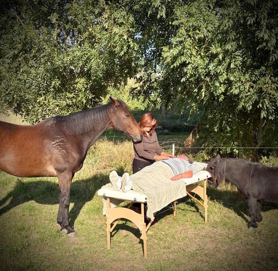 Reiki voor mensen en paarden
