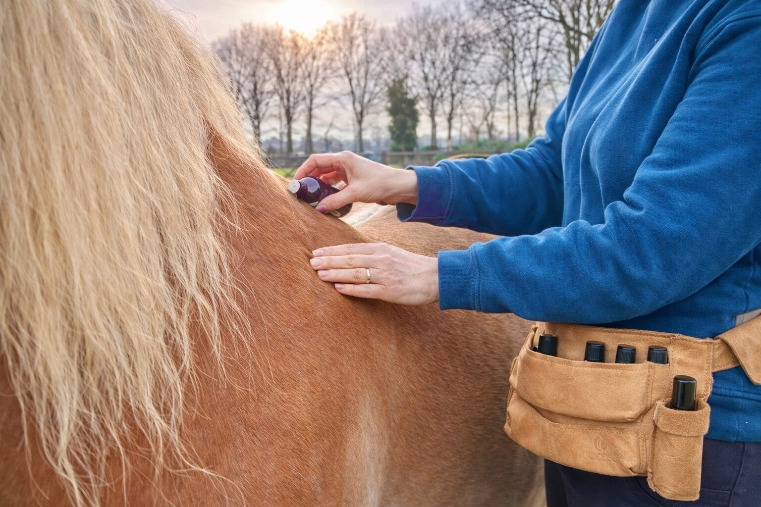Aroma therapie voor paarden