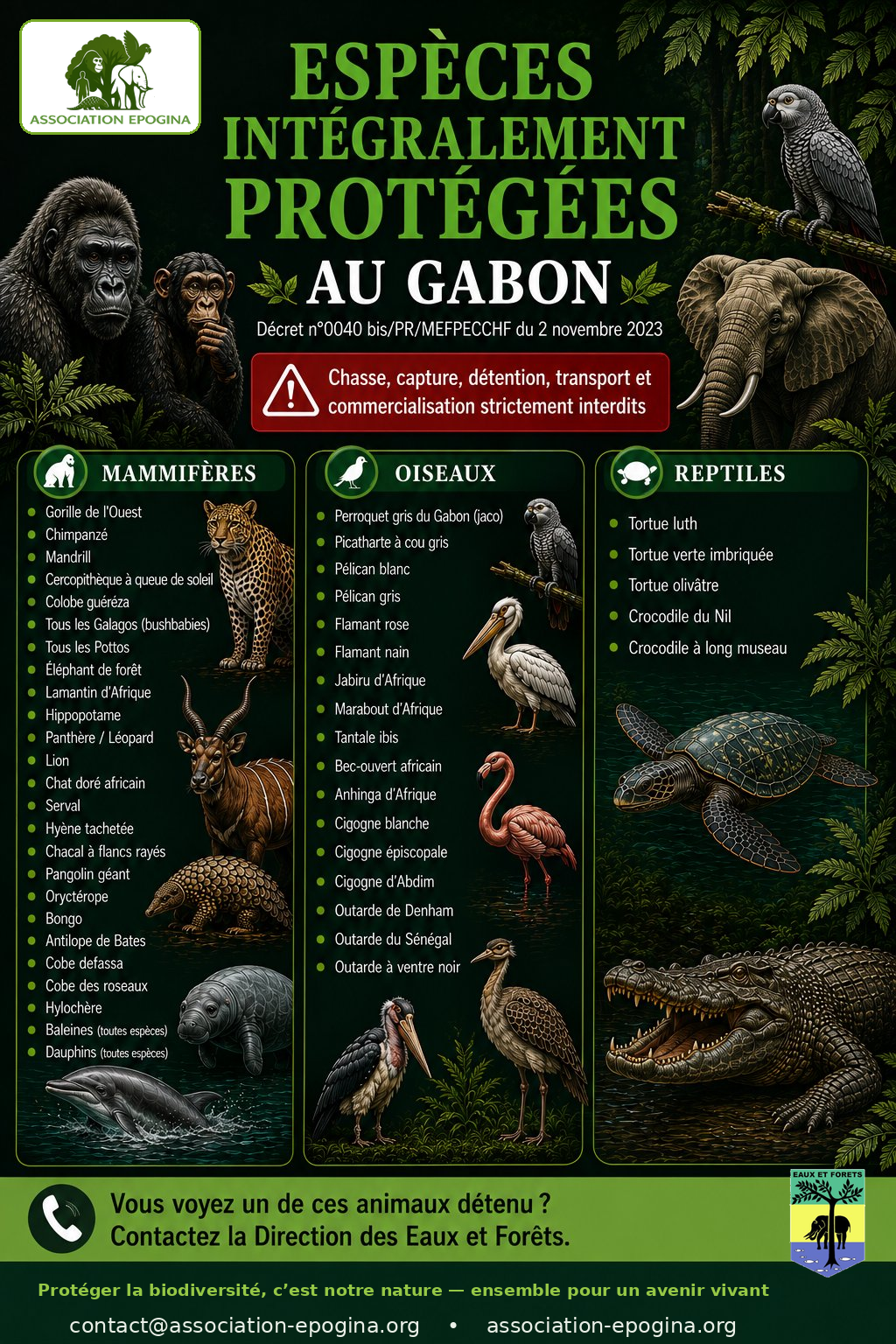 Affiche des espèces intégralement protégées au Gabon