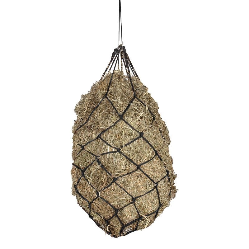 HOOINET 10x10 Maas 145740