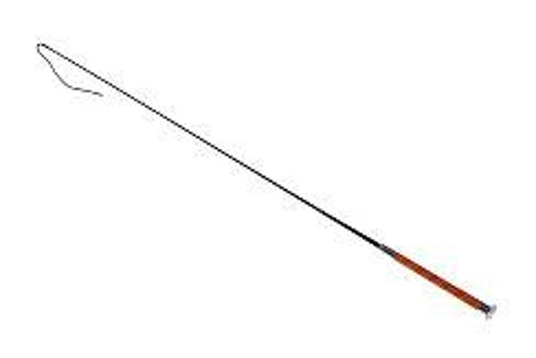 590536 DRESSUUR ZWEEP LEER