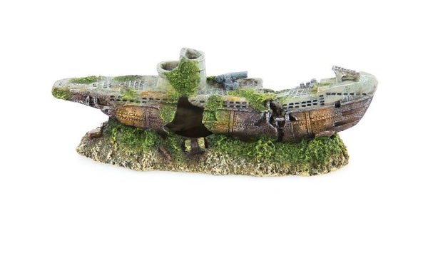 Amazonas Schiffswrack