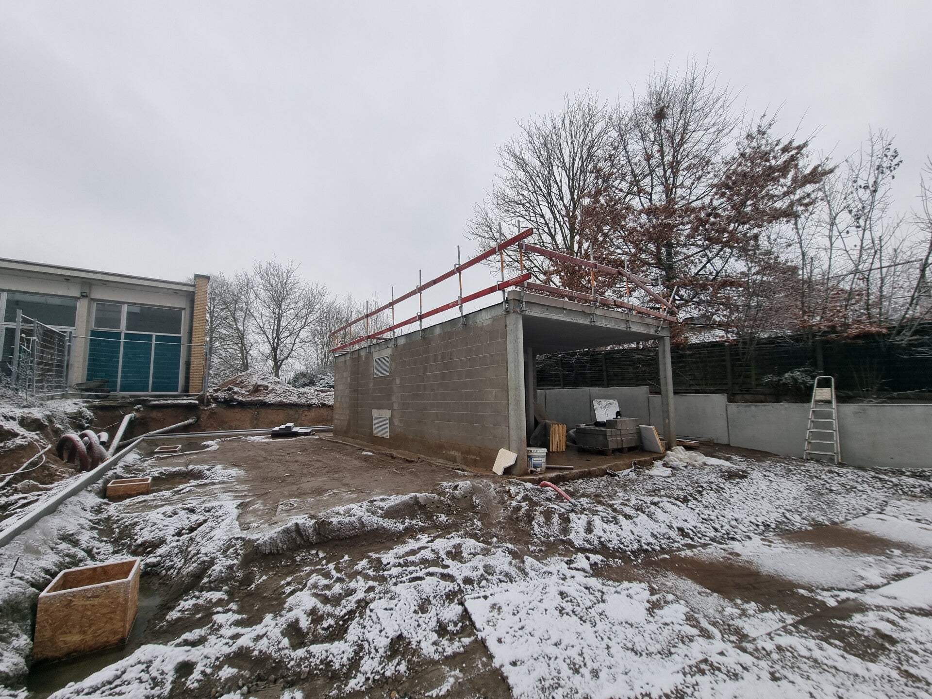 20260110_094339-standard.jpg