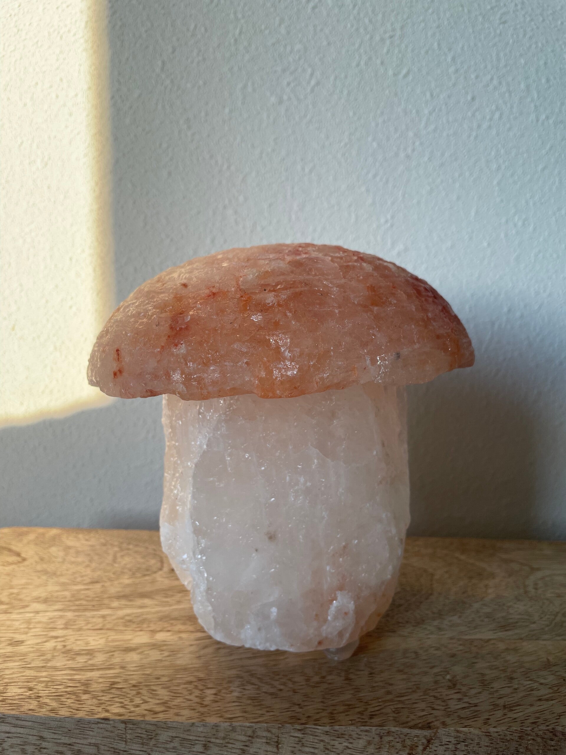 Himalaya zout lamp Paddenstoel