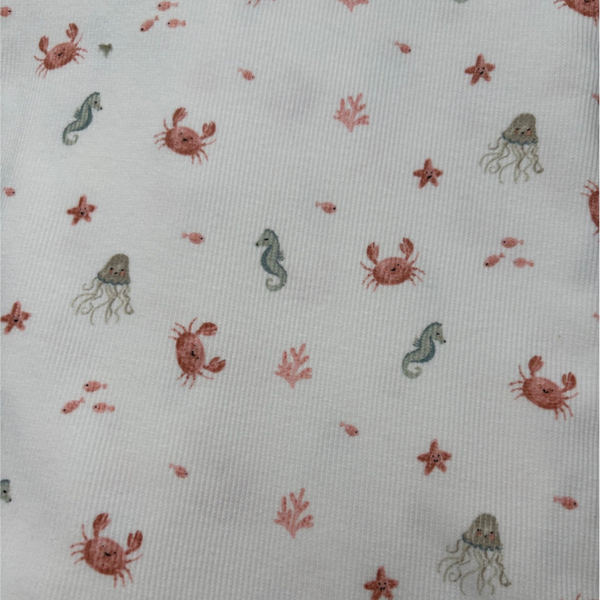 Boxpakje rib zeedieren