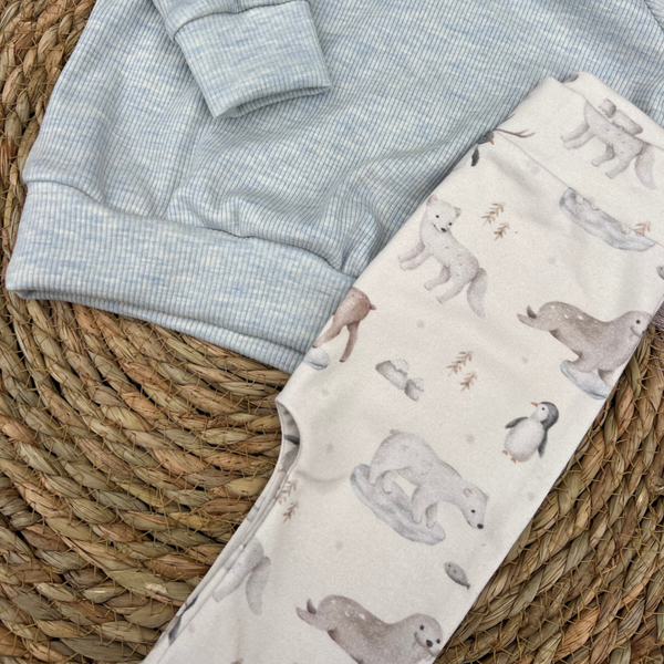 Broekje antartica dieren