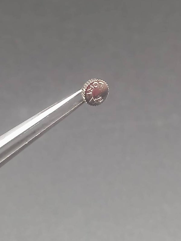 Ricambio Corona Lorenz