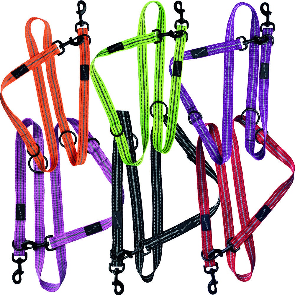 Hem & Boo Reflective Sports Dual Training Lead
