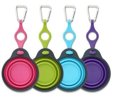 Dexas Collapsible Travel Cup with Bottle Holder & Carabiner