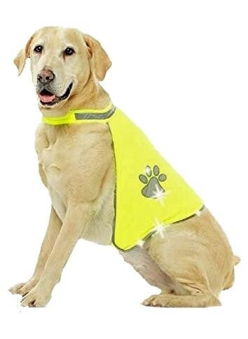 Pawise Safety Vest