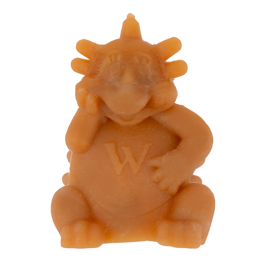 Whimzees Hedgehog Pack of 5