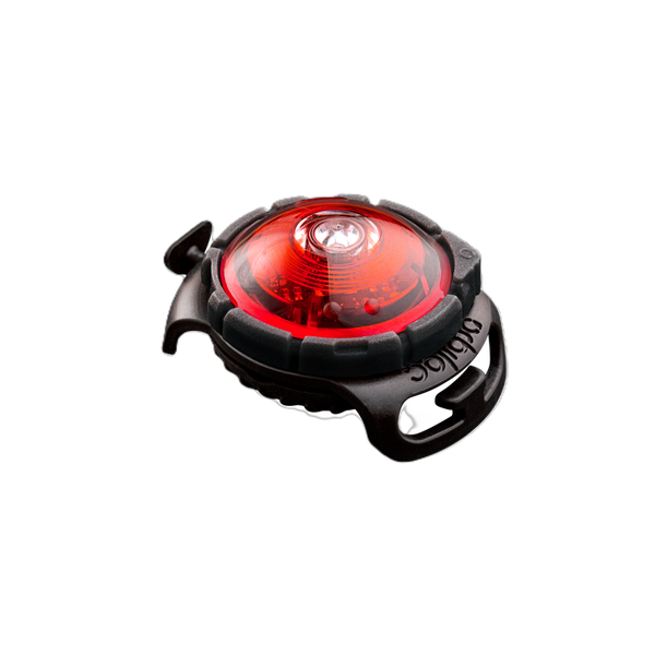 Orbiloc Dog Safety Light