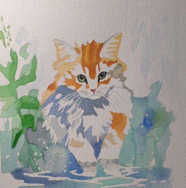 Chaton patauge