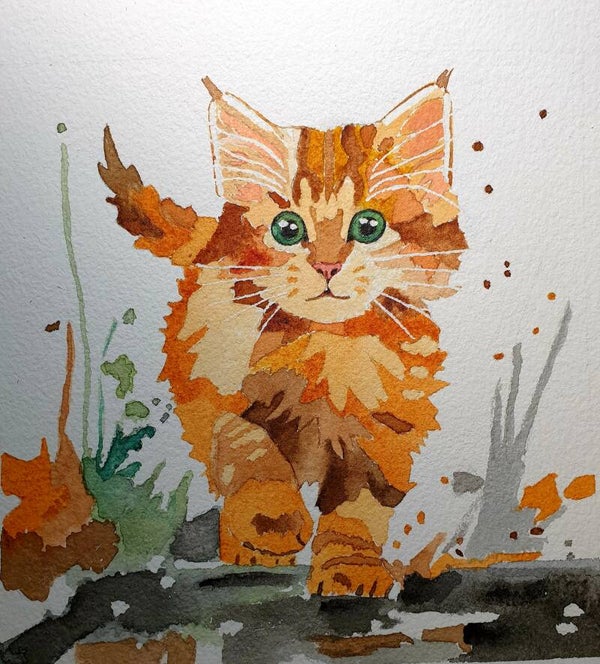 Le petit explorateur