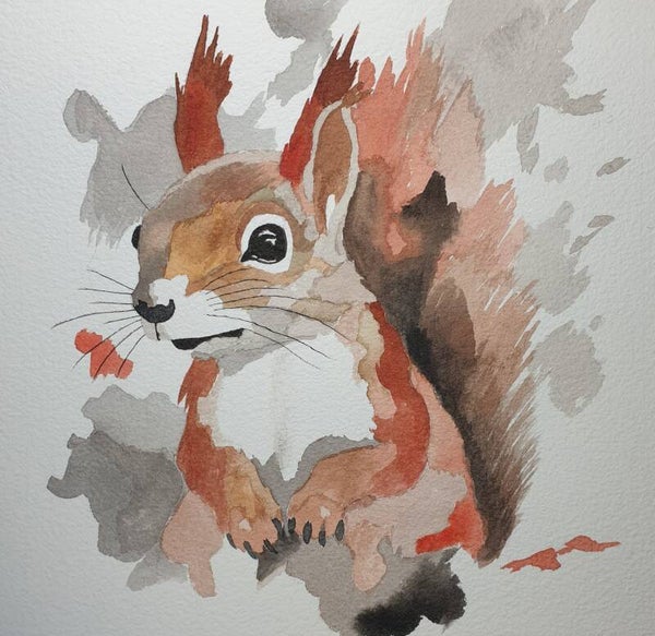 Petit écureuil curieux
