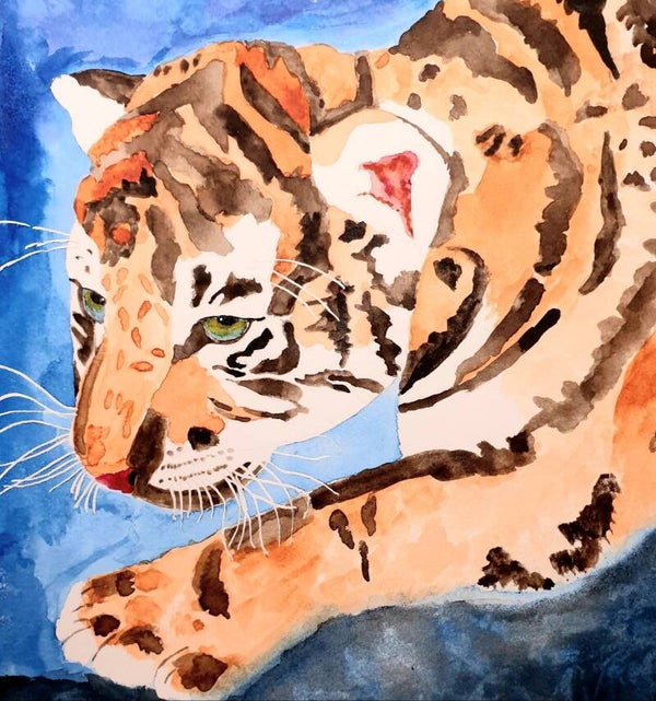 Première chasse