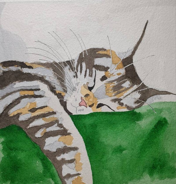 Sieste