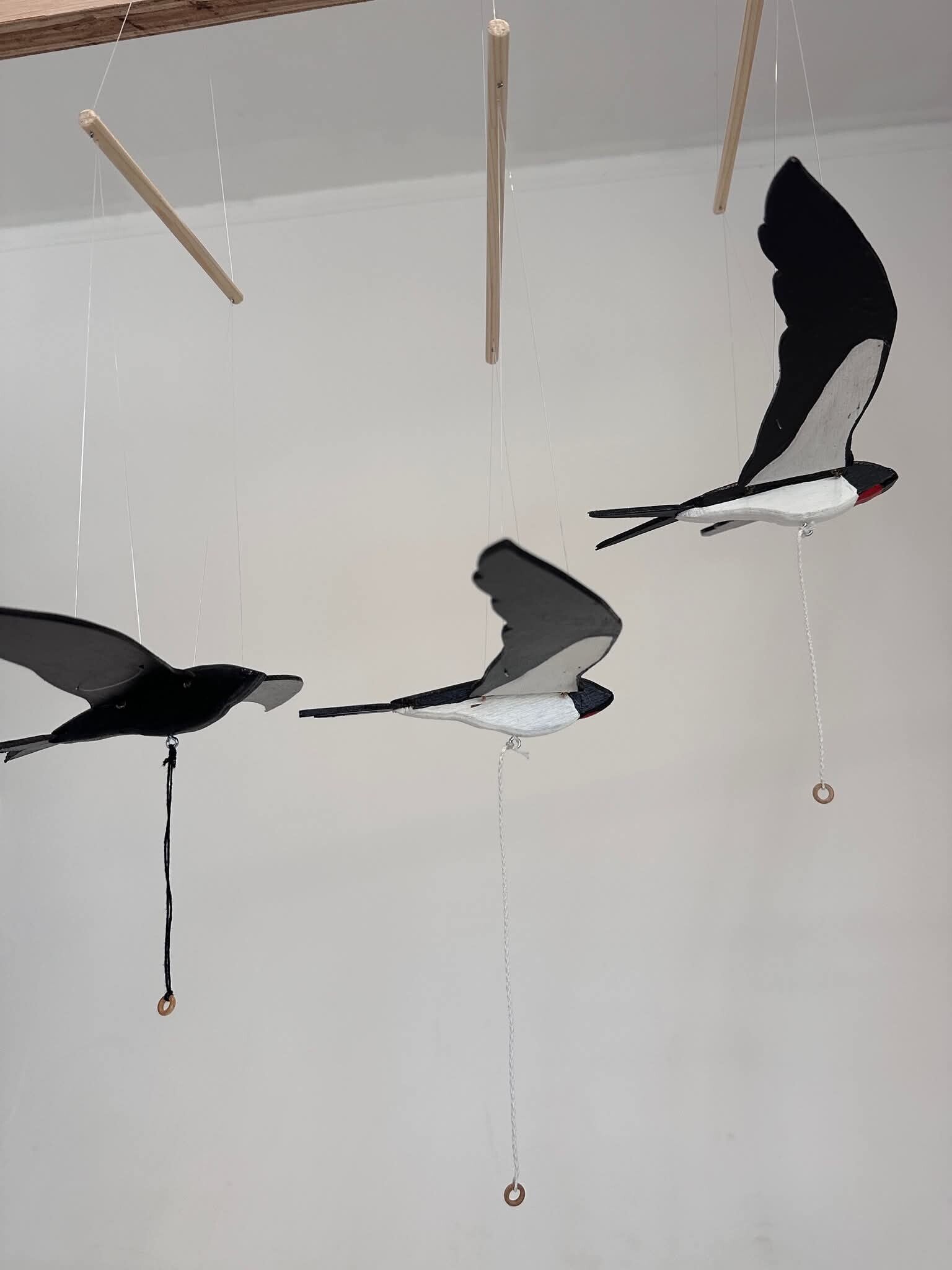 Swift and Swallow
