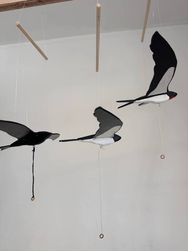 Swift and Swallow