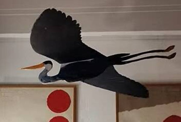 Blauwe reiger