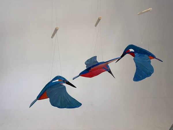 IJsvogel
