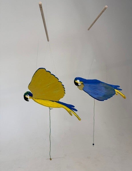 Parrot