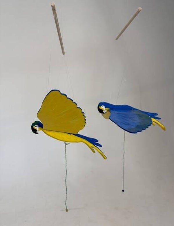 Parrot