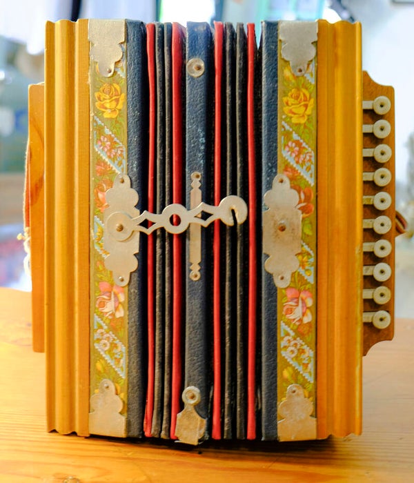 Antiguo acordeón.