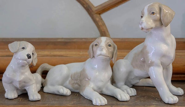 Figuras caninas.