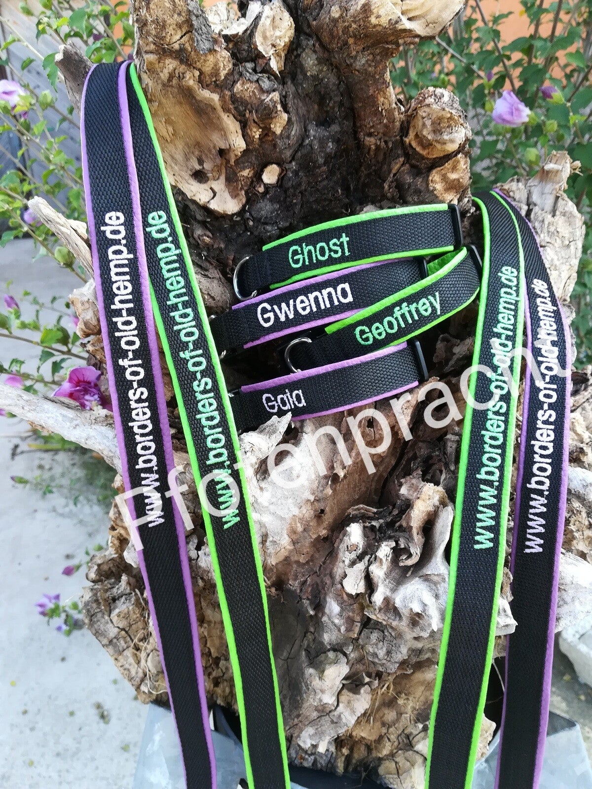 Züchterset Halsband 25 mm/Leine 20 mm, 2 m Kunstleder