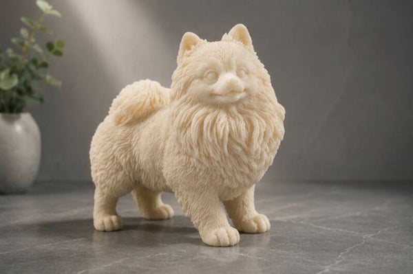 Pomeranian Puppy Dog