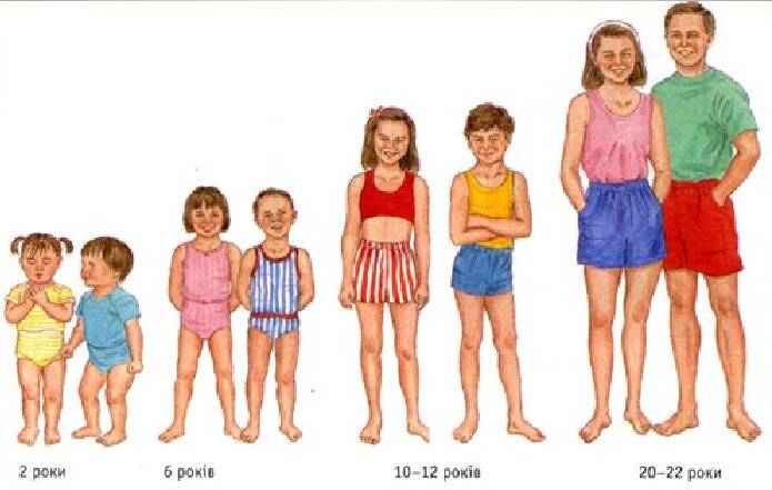 Растеж и развитие на организма