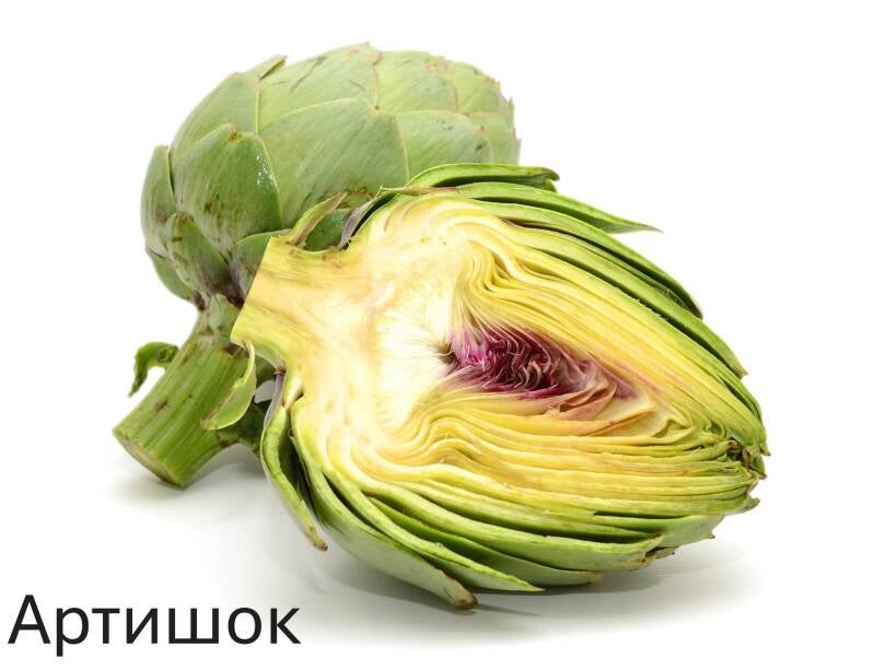 artischocke-standard-4bjk0u.jpg