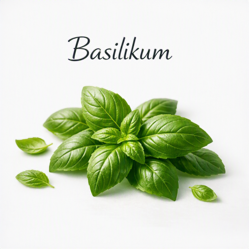 basilikum-standard-73u0zw.png