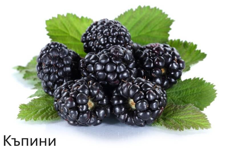 blackberries-1160x774-standard-gekbo2.jpg