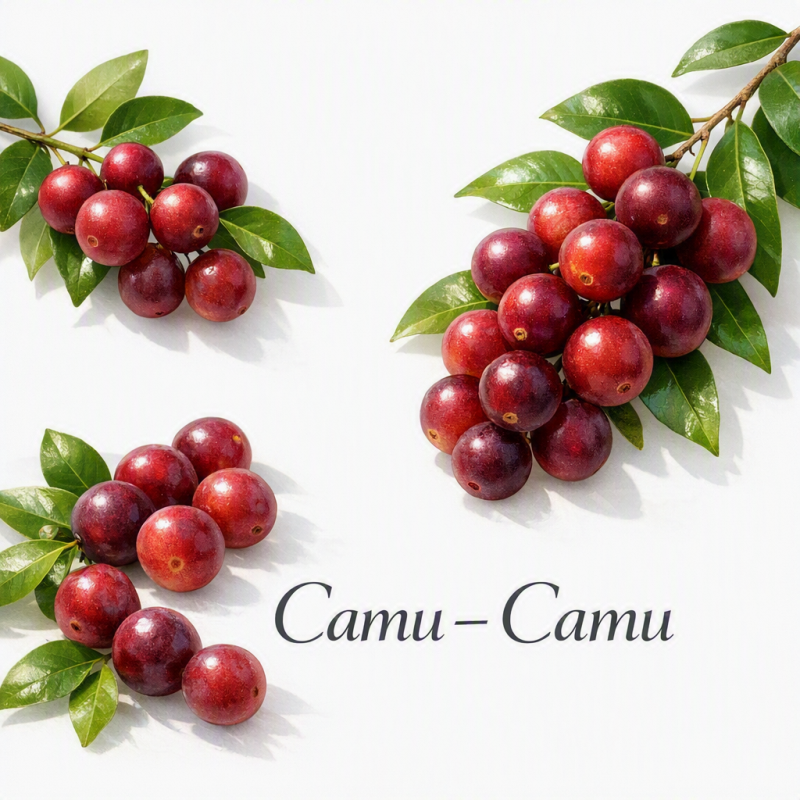 camu-camu-standard.png