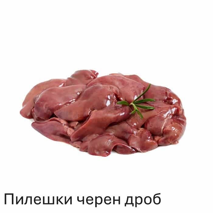 chicken-liver-standard-5pjg20.jpg