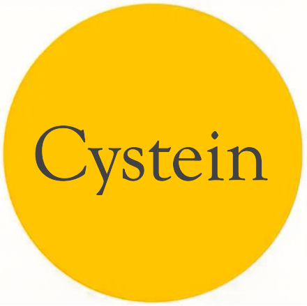 Cystin 