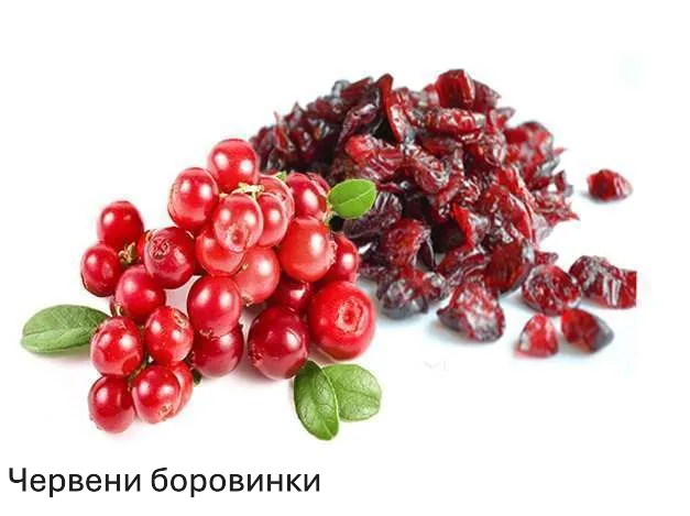 cranberries-dried-image-standard-7aq8p7.png
