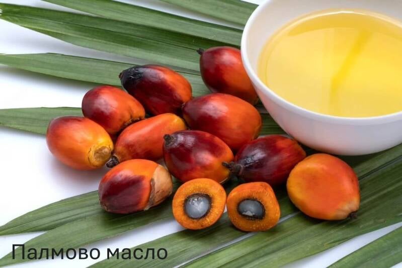 crude-palm-oil-cpo-1024x683-standard.jpg