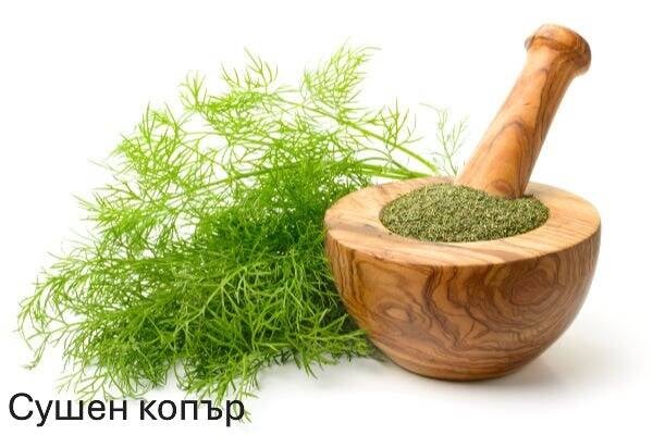 dill-weed-standard-1vc3yl.jpg