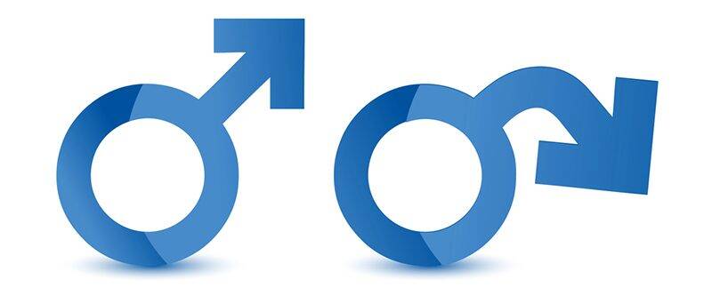  Ерекцията -  храна с един поглед