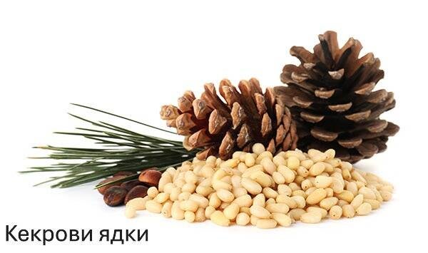 heap-of-pine-nuts-and-cones-1-standard-h5b5z0.jpg