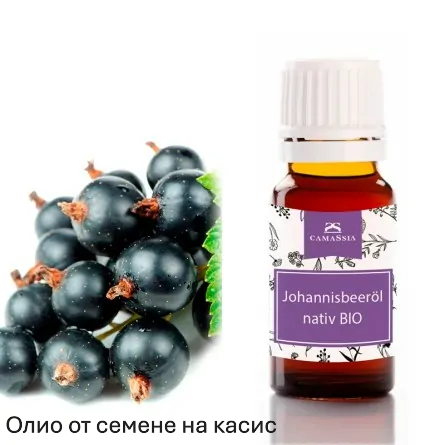 johannisbeersamenoel-bio-nativ-schwarze-johannisbeere-standard.png