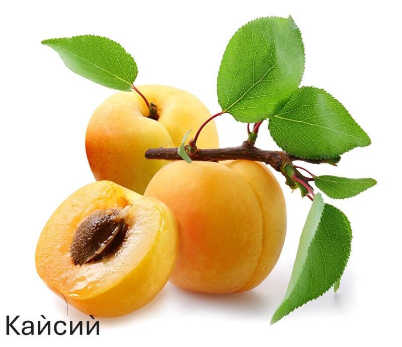 peaches_branches_three_3_497024-standard-4srovr.jpg