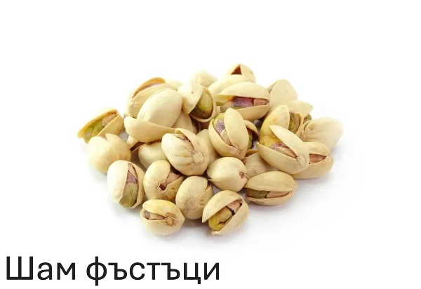 sham-surov-600x412-standard-4zgfno.png