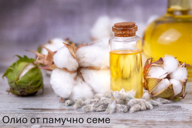 vantagens-do-oleo-de-algodao_27225-standard.png