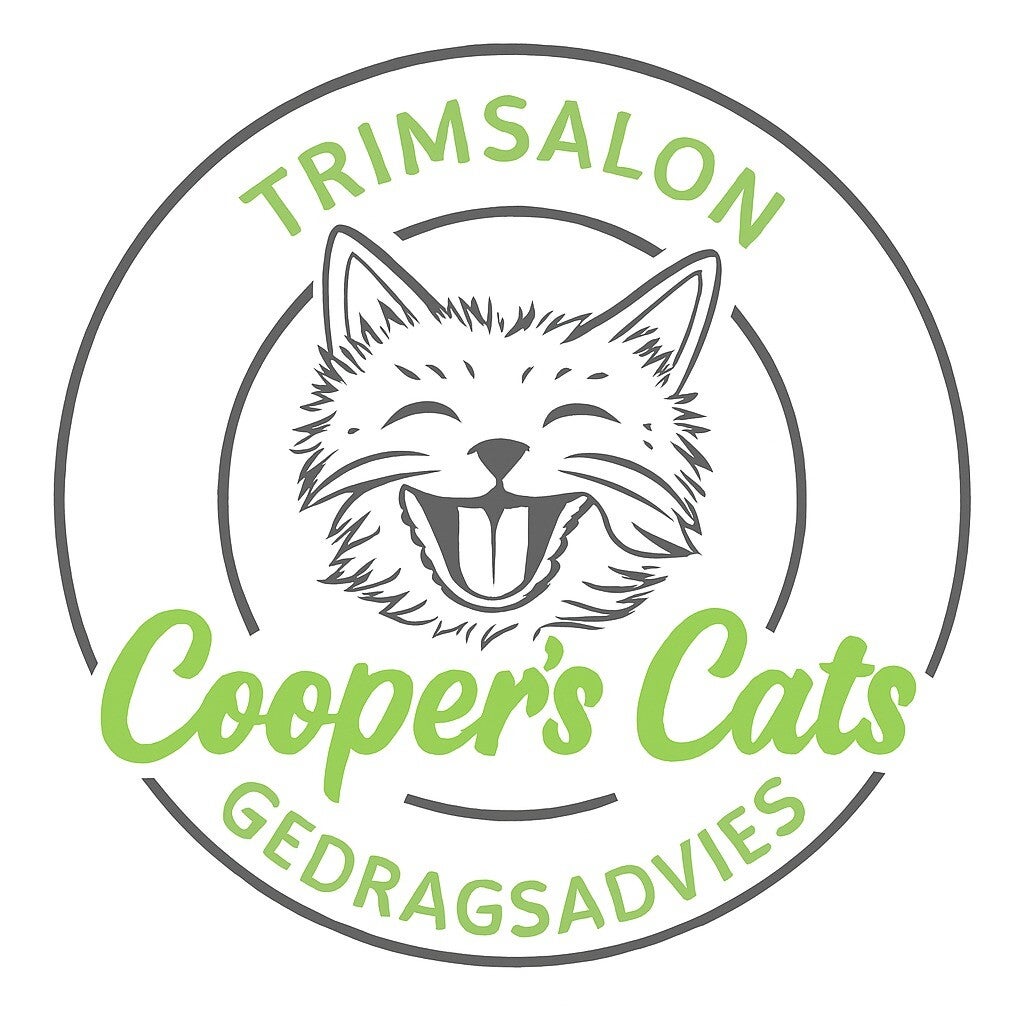 Maine Coon Cooper van Coopers Cats, kattentrimsalon in Utrecht zonder narcose.